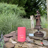 Bengal Chai Eco – Brook37's Authentic Indian Masala Tea