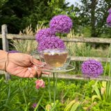 First Bloom - Darjeeling First Flush Reserve