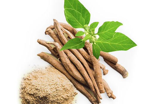 Ashwagandha_ingredients