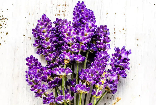 Lavende