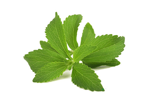 Stevia-Leaf
