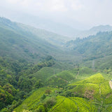 WhatsApp Image 2025-06-02 at 01.26.17.jpeg__PID:95598ee7-e38f-4087-bc49-10fdb14b6e22