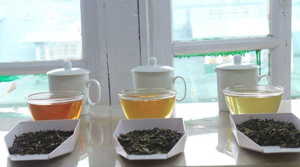 Darjeeling and Assam:  A Look Into Black Tea