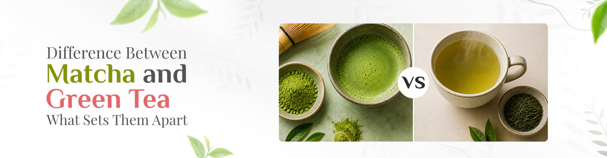 Difference Between Matcha and Green Tea: What Sets Them Apart?