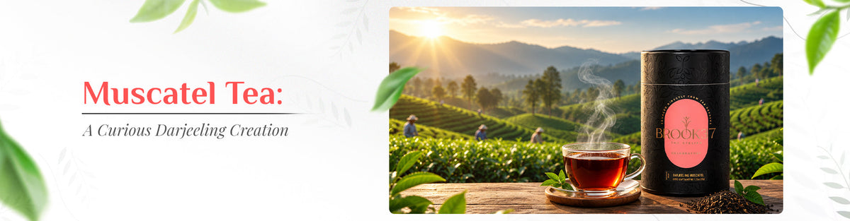 Muscatel Tea: A Curious Darjeeling Creation