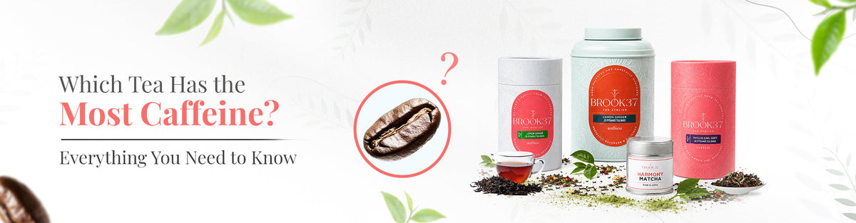 Which Tea Has the Most Caffeine? Everything You Need to Know