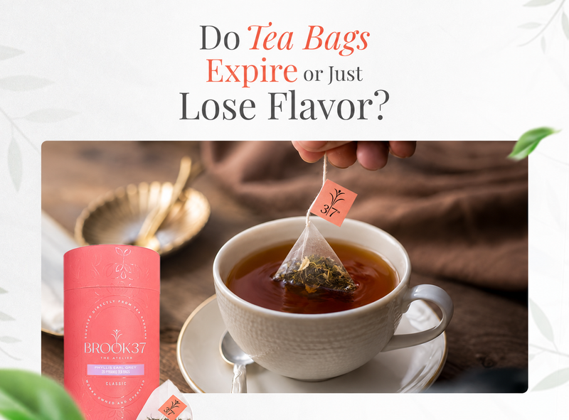 Do Tea Bags Expire or Just Lose Flavor?