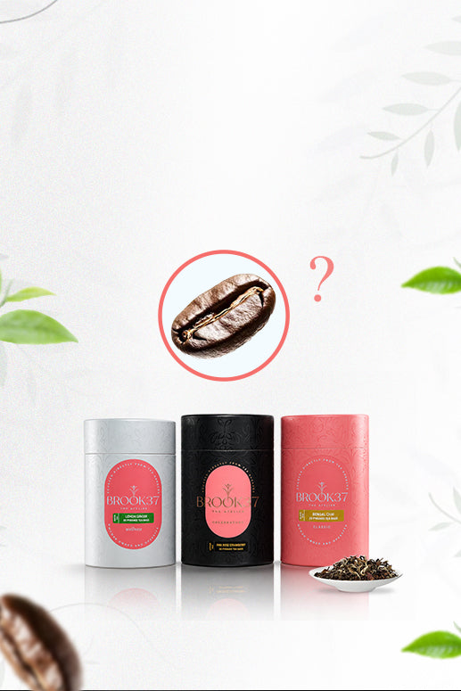 Does Herbal Tea Contain Caffeine? The Truth Explained