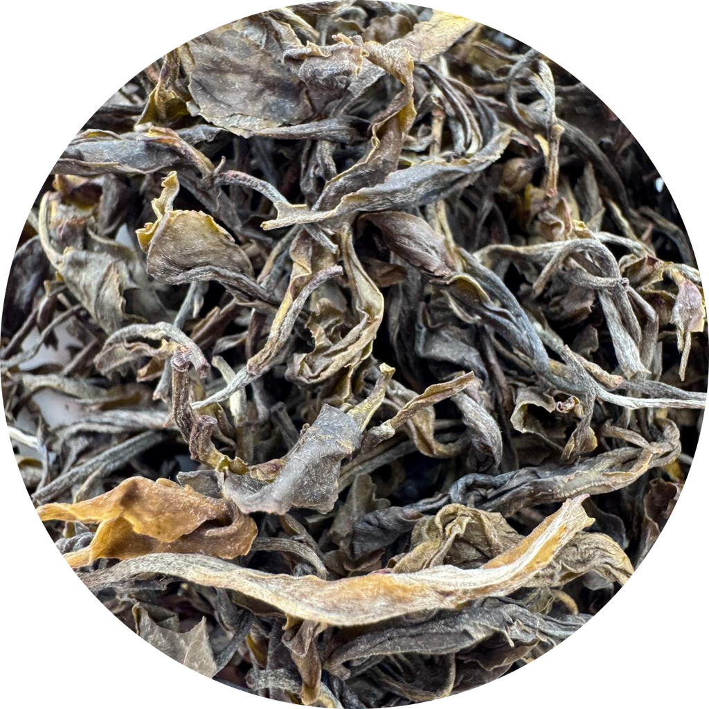 Emerald Green - An Exquisite Darjeeling Green Tea