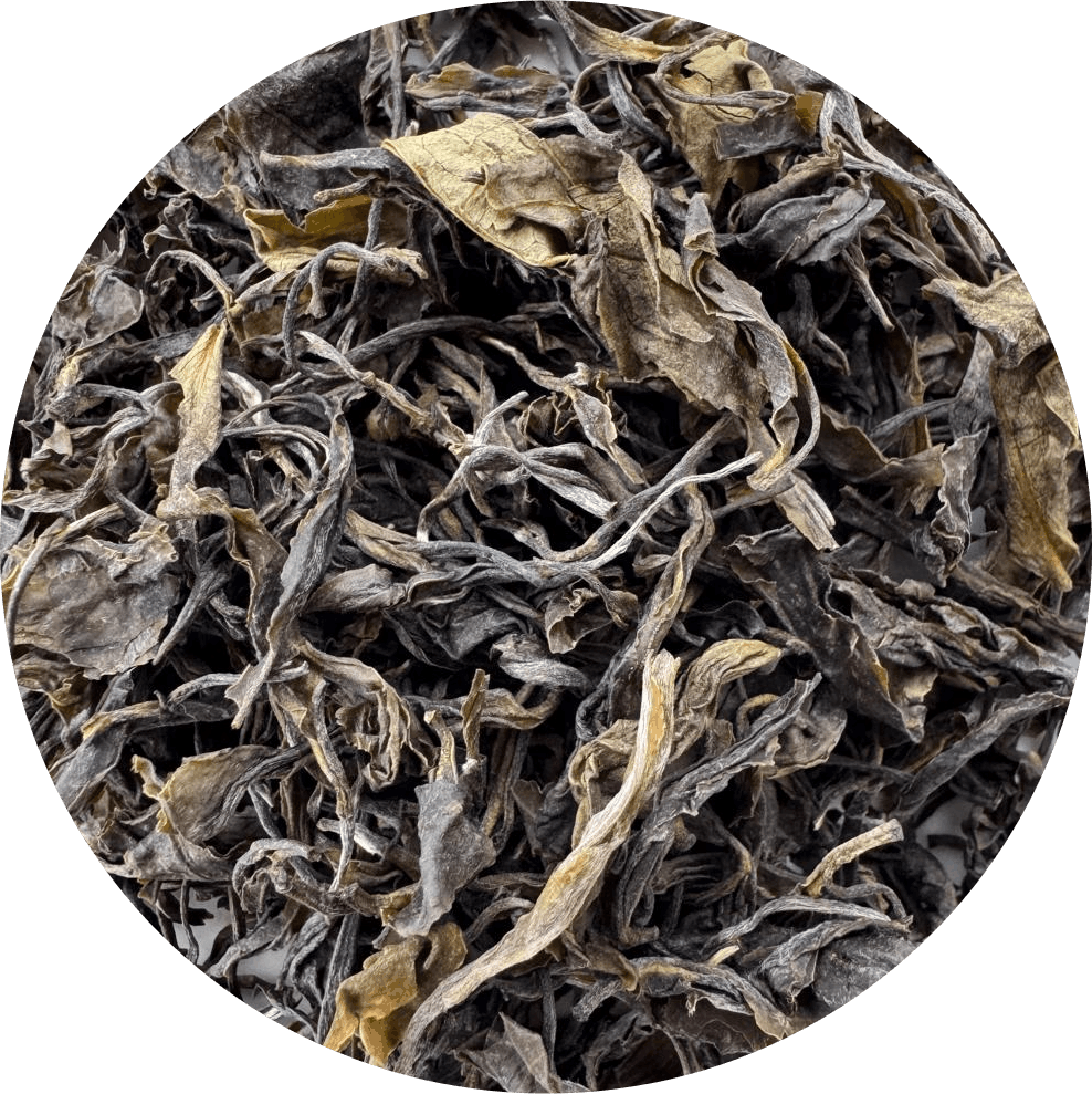 Emerald green loose leaf green tea Darjeeling first flush leaves close up Brook37