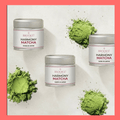Harmony matcha premium Japanese matcha powder in bowl top view Brook37
