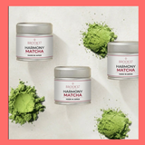 Harmony Matcha - Ceremonial Okumidori Blend