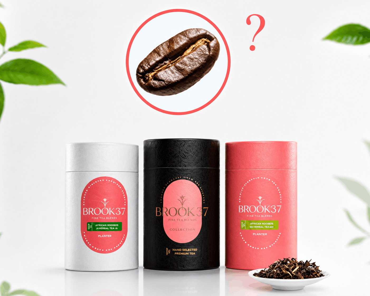 Three BROOK37 tea tins in white, black, and coral pink are shown on a clean white background with decorative green leaves. Above the products, a red circle highlights a coffee bean with a question mark, suggesting a coffee-flavored tea product.