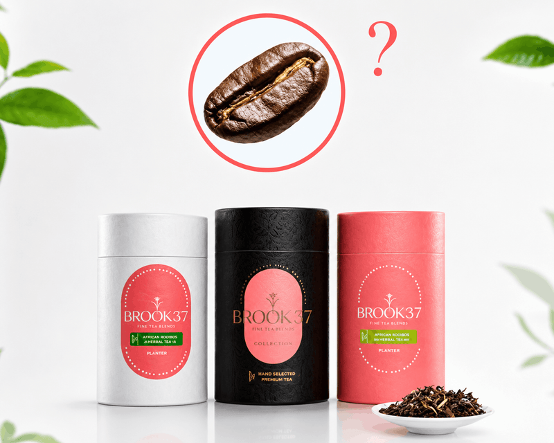 Does Herbal Tea Contain Caffeine? The Truth Explained