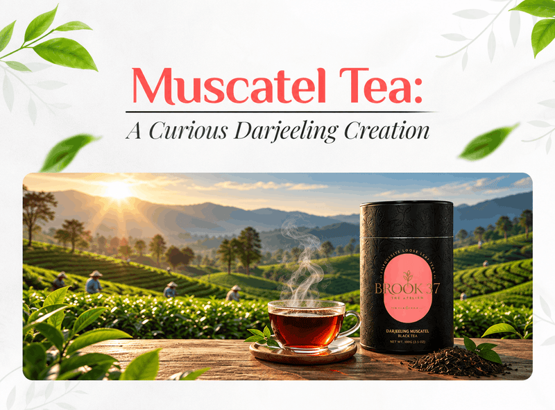 Muscatel Tea: A Curious Darjeeling Creation