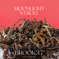 Brook37 Moonlight Stroll