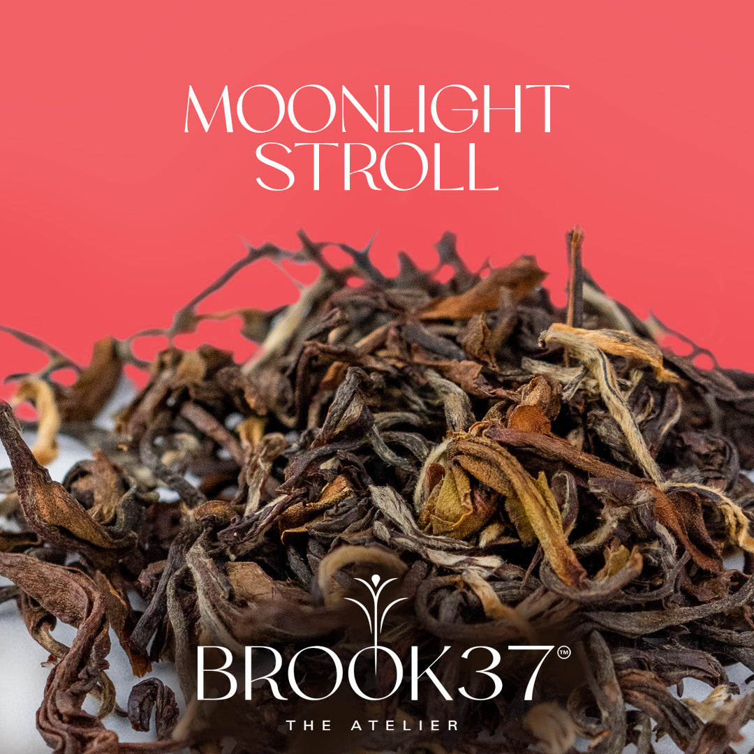 Brook37 Moonlight Stroll