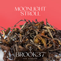 Brook37 Moonlight Stroll